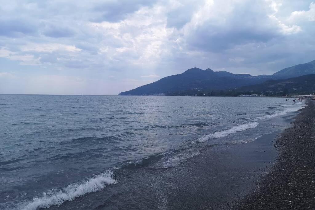 קפיטלו Villa Cilento Mare, Bellissima Con Ampio Giardino מראה חיצוני תמונה